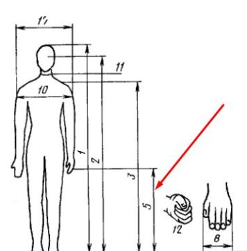 Высота расположения ладони свободно опущенной руки в положении стоя относительно поверхности пола