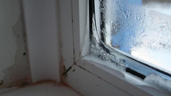 Почему потеют окна в доме пластиковые