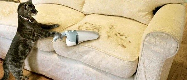 Очистив диван, вы удалите из него не только грязь и пыль, но также клещей, бактерий, неприятные запахи и т.д.