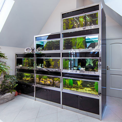 Стеллаж для аквариумов — особенности и требования к конструкции, способ изготовления, советы и рекомендации