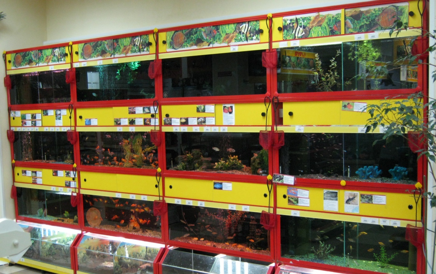 Стеллажи для аквариумов существенным образом отличаются от обычных конструкций